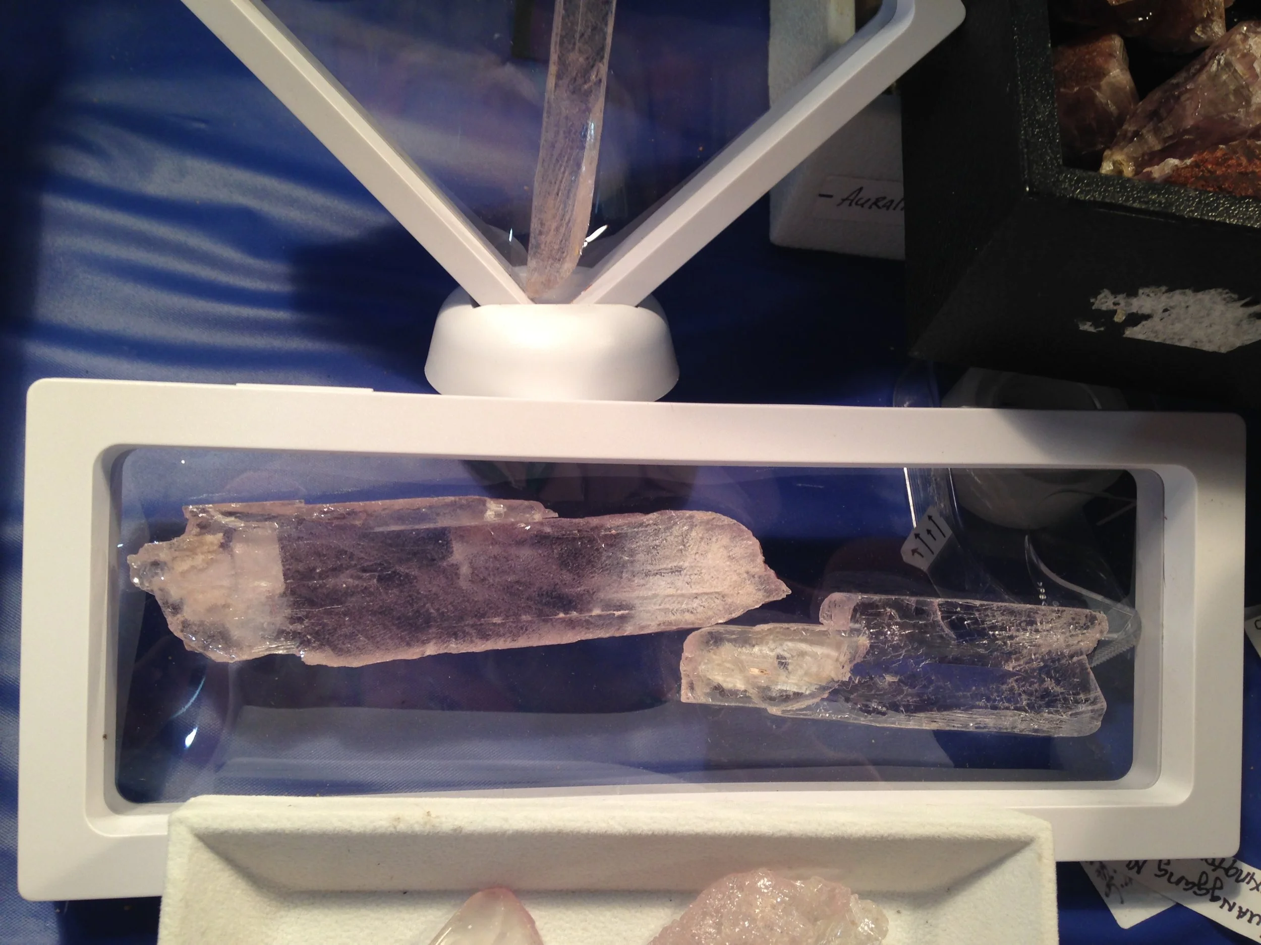 Kunzite-Pink-several full frame.JPG