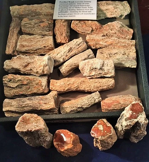 Petrified Wood