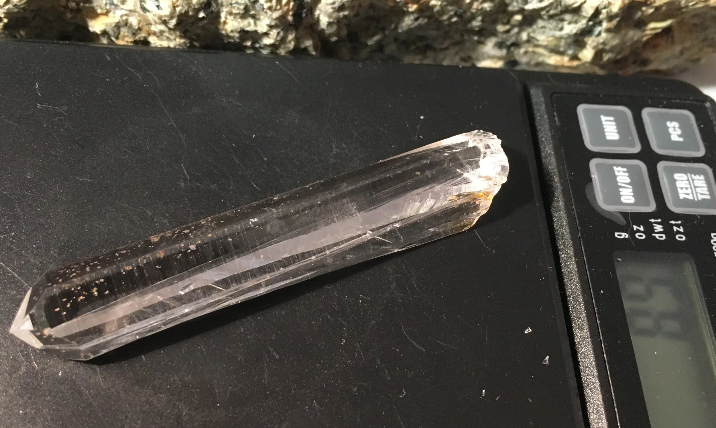 Sentient 8.9 7.17.17.JPG