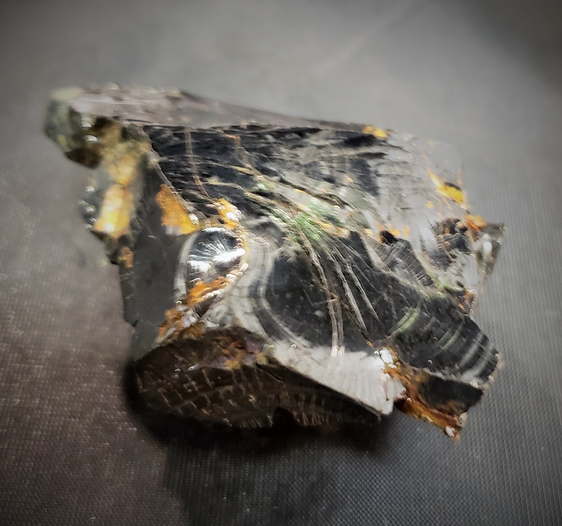 Elite Shungite 024 THIS ITEM IS SOLD