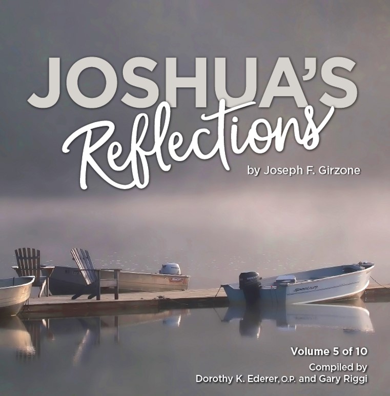 Joshua's Reflections 4.jpg