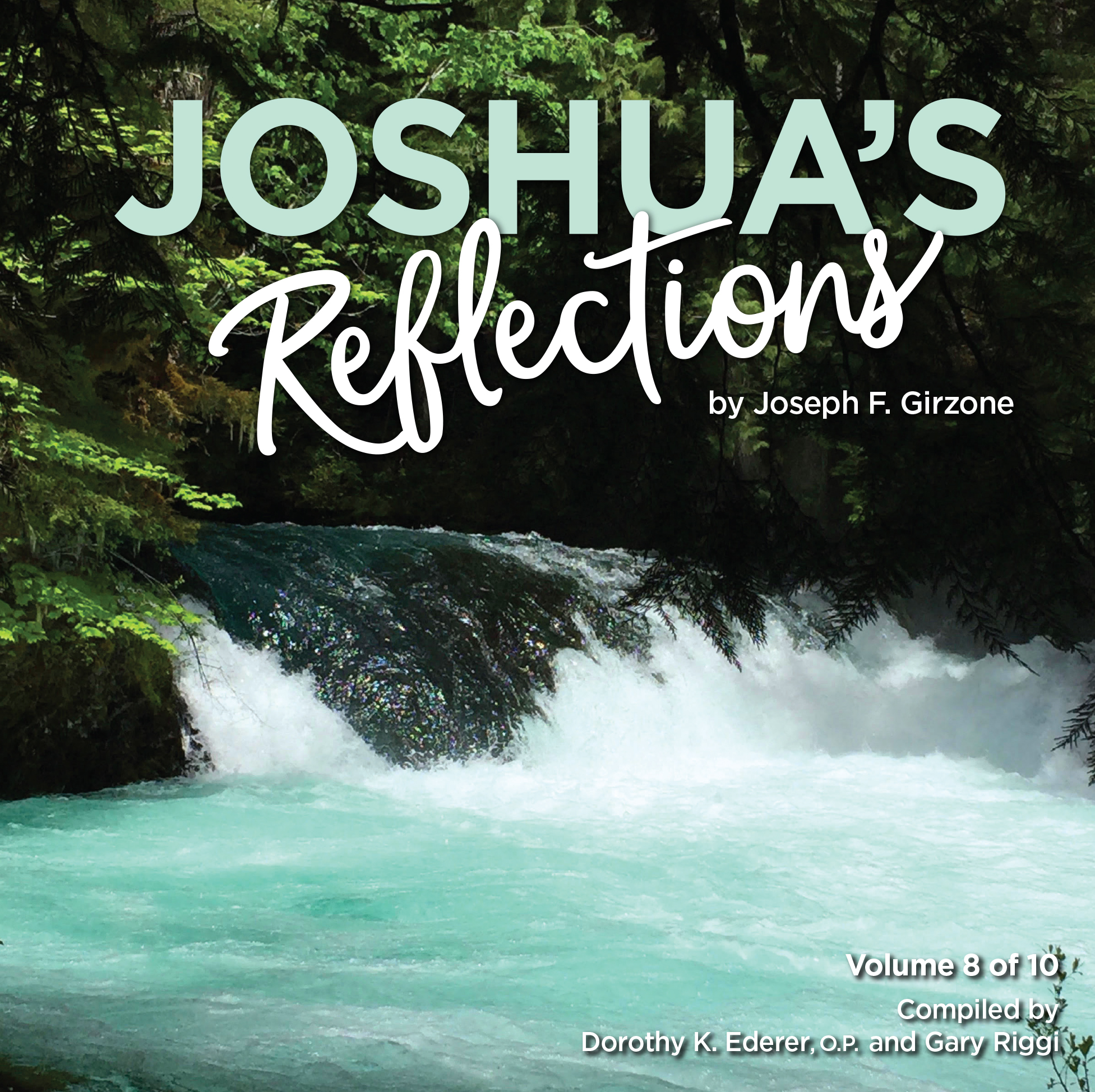 JoshuaReflections_Vol8_CoverPreview.jpg