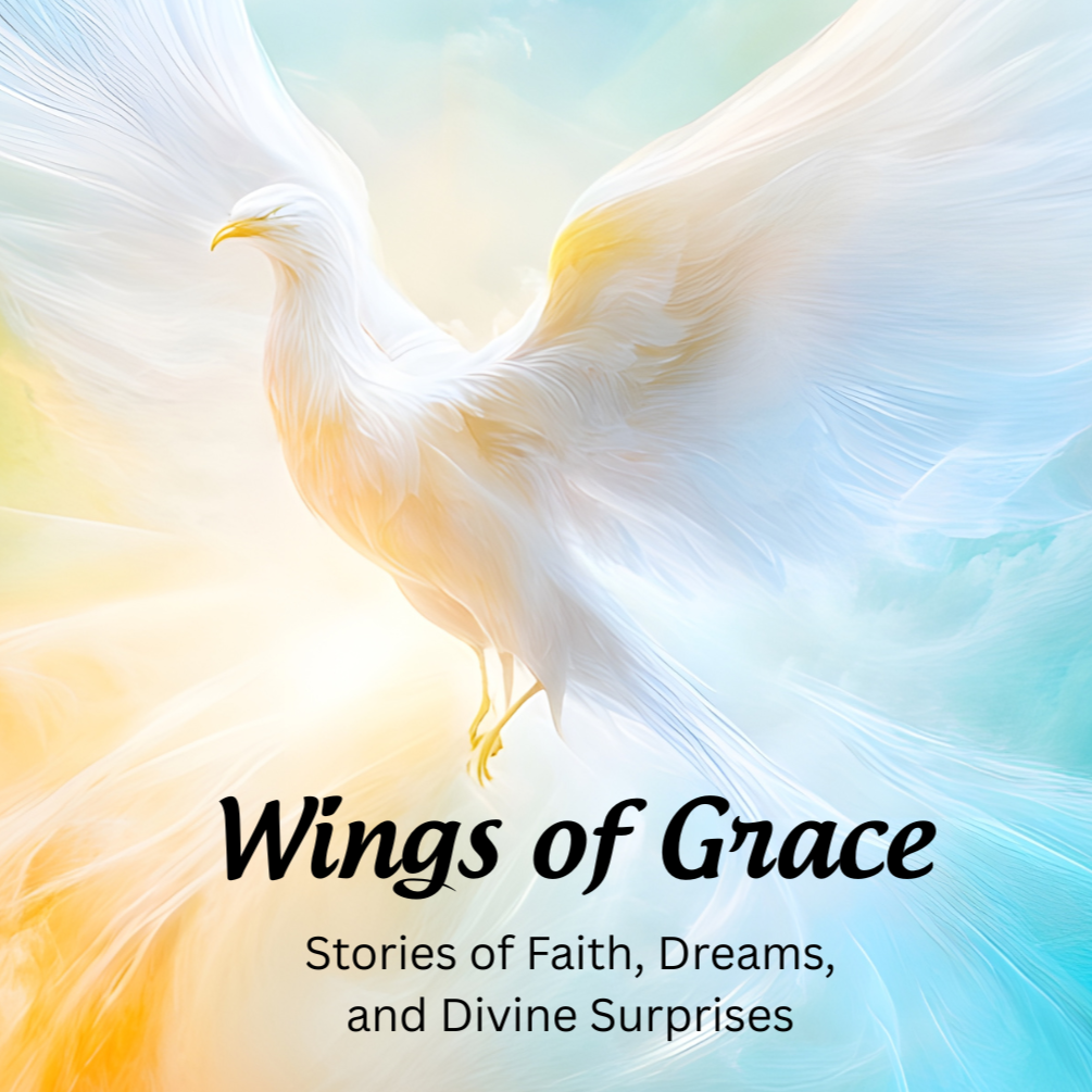 Wings+of+Grace+Stories+of+Faith%2C+Dreams%2C+and+Divine+Surprises.png
