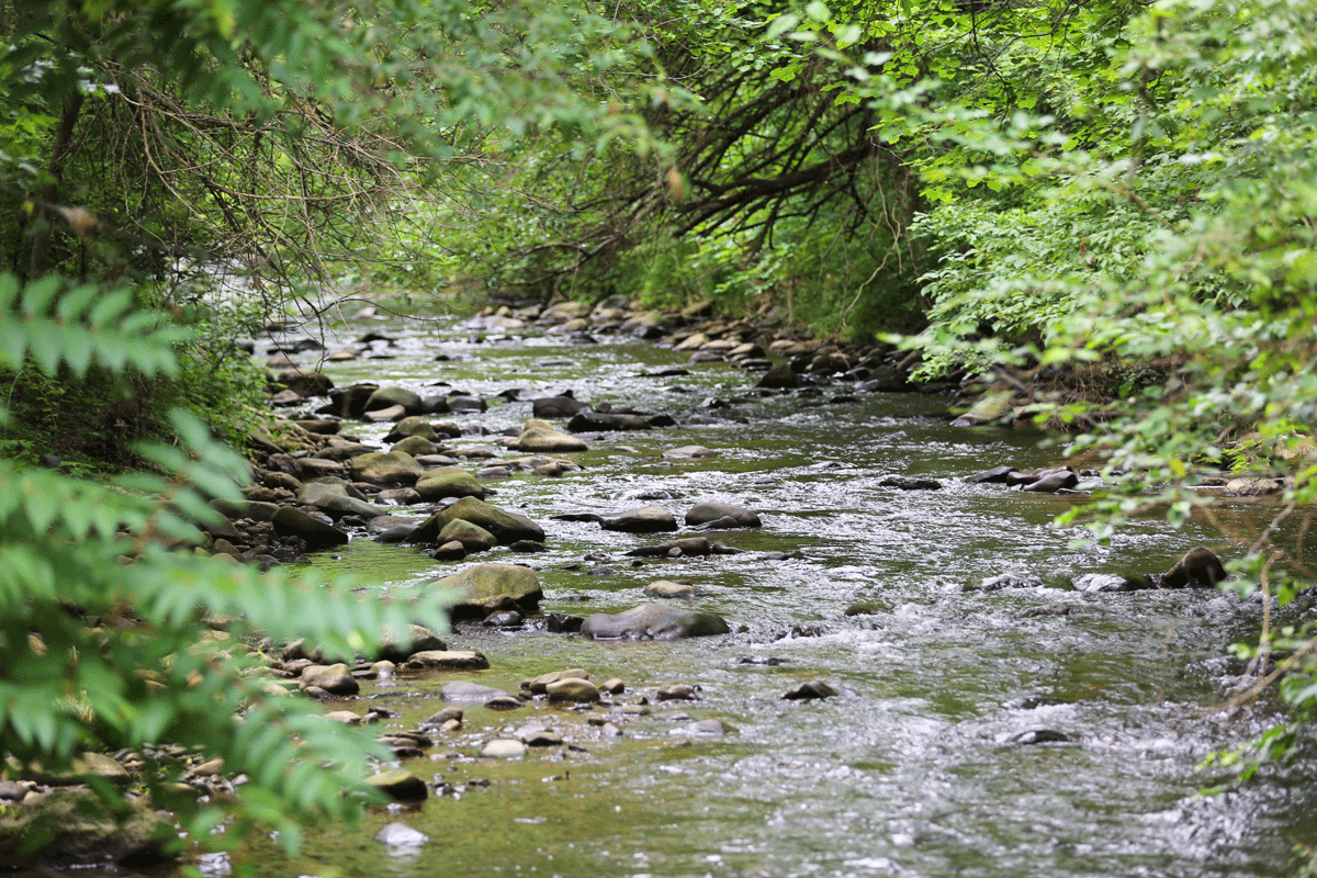 Inn-Mt-Vernon-Farm-River-Wetlands.gif