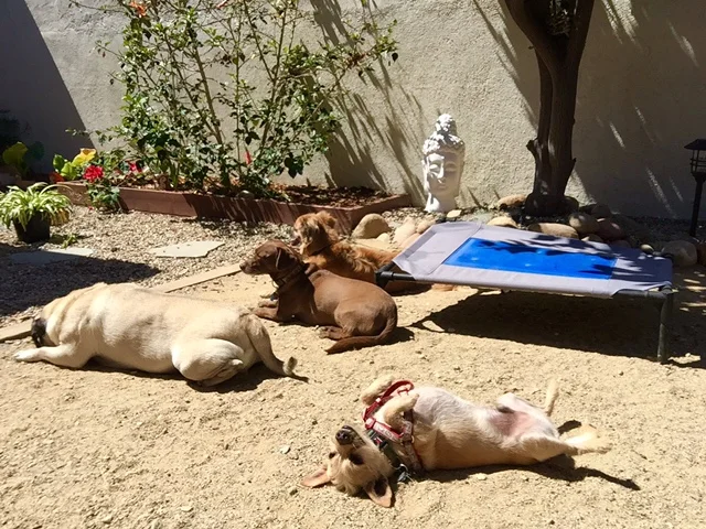 daycare-3.jpeg