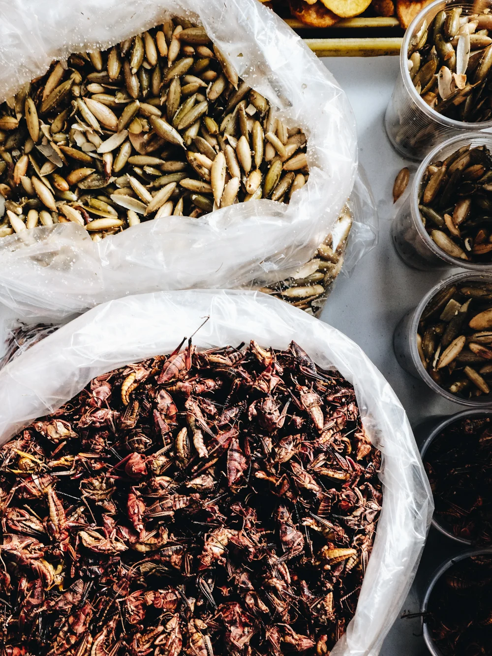 chapulines-Cookwilltravel-Mexico_City.jpg