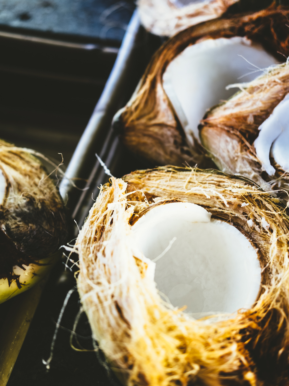 coconuts-Cookwilltravel-Kauai.jpg