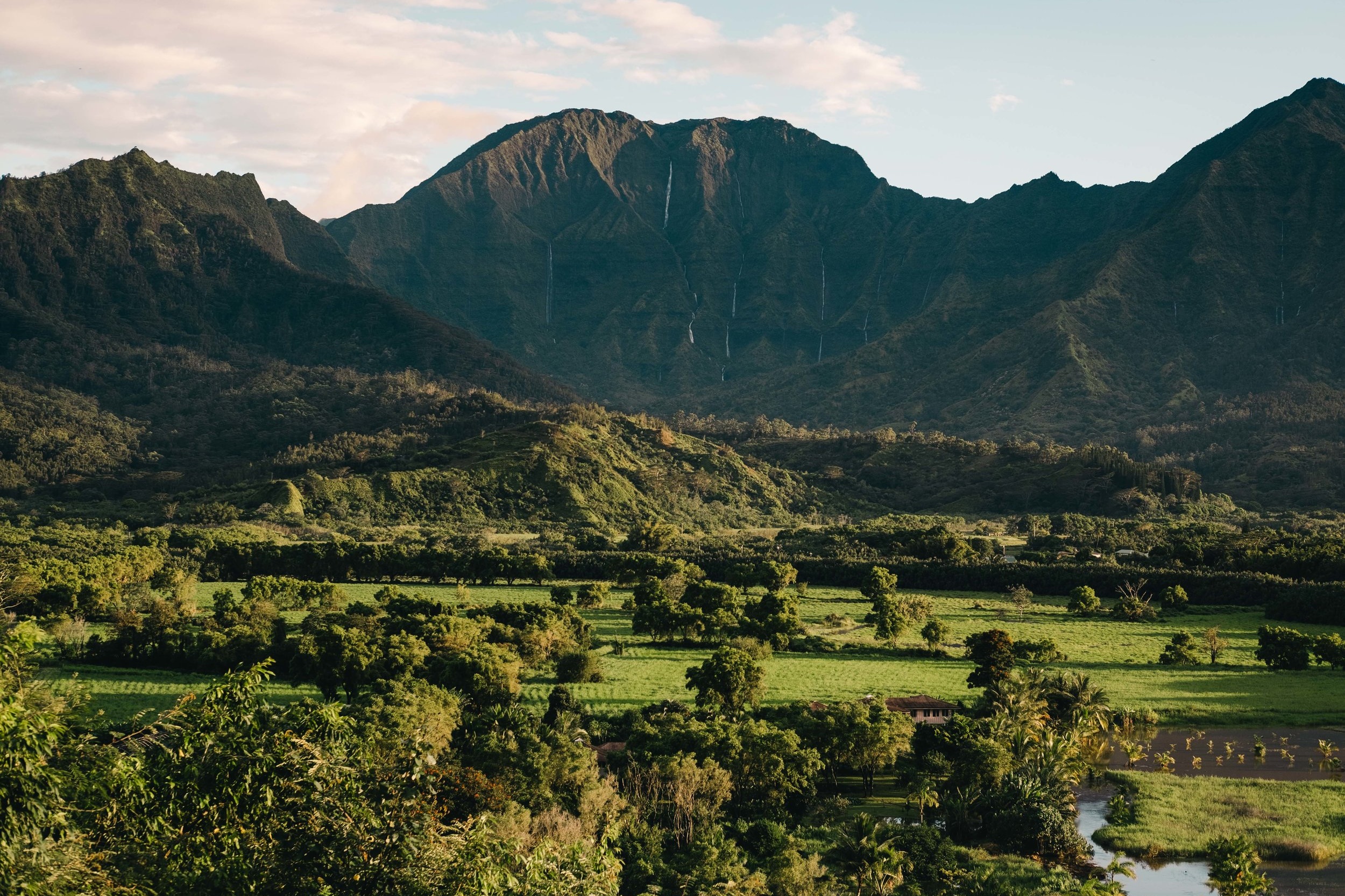 Cookwilltravel+-++Kauai+-+August+-+48.jpg