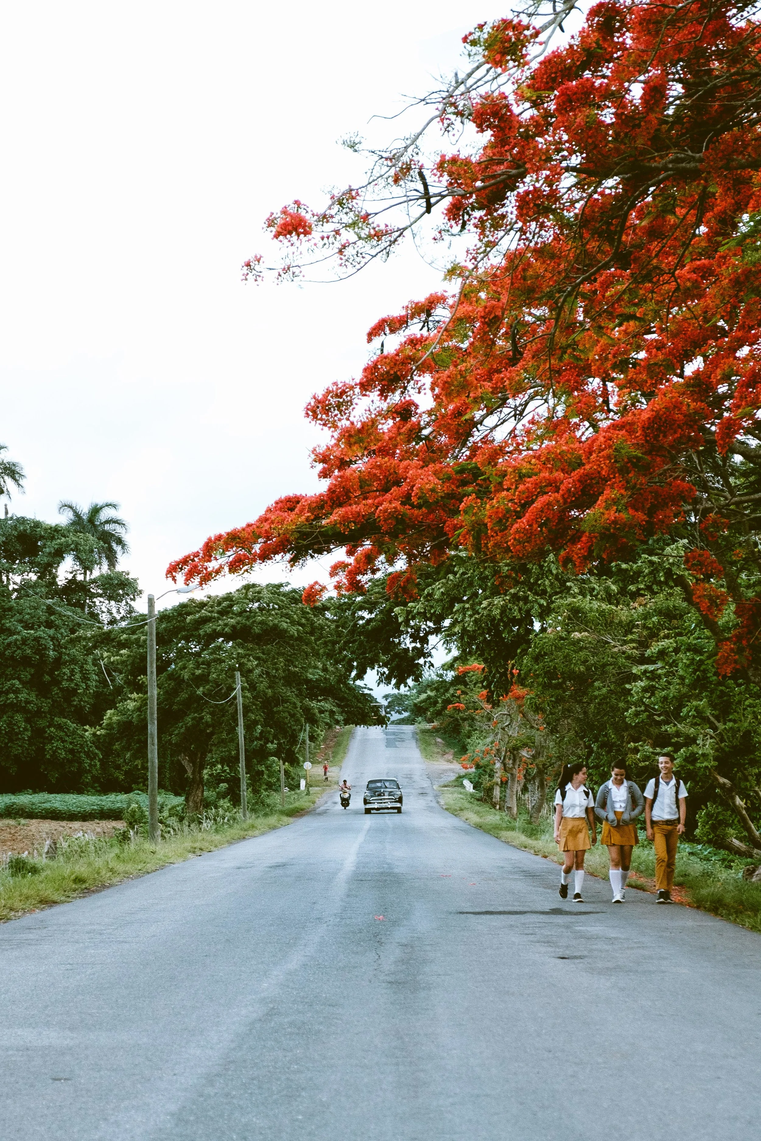 Cookwilltravel - Cuba - DSCF8215.jpg