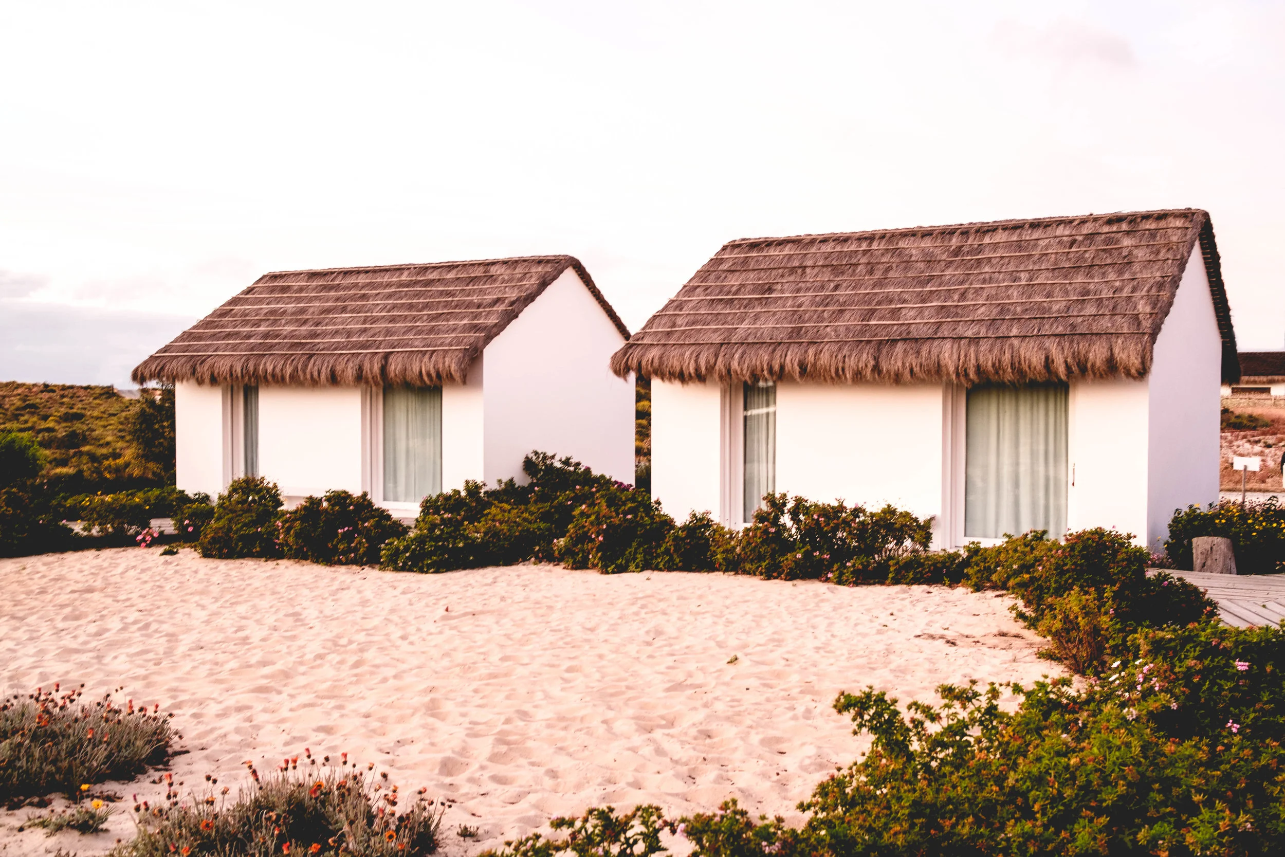 Cookwilltravel - Comporta - 6.4 - DSCF2586-Edit.jpg