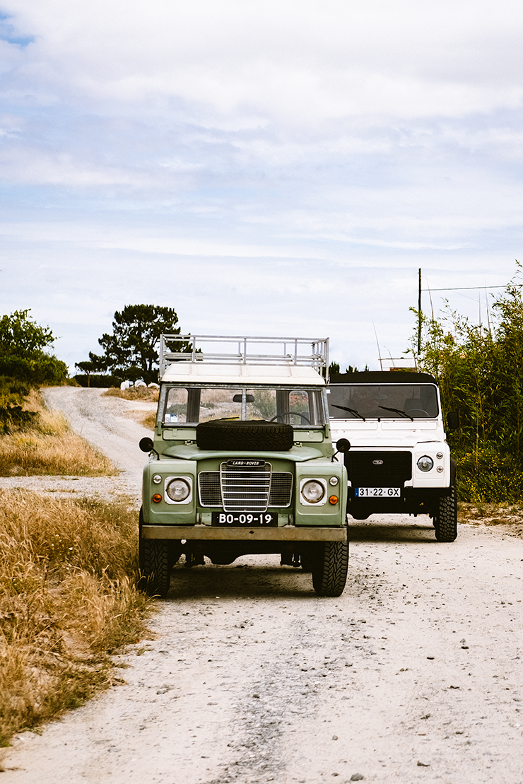 Cookwilltravel - Comporta - 6.4 - DSCF2381.png