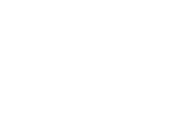 Travel Management Services 