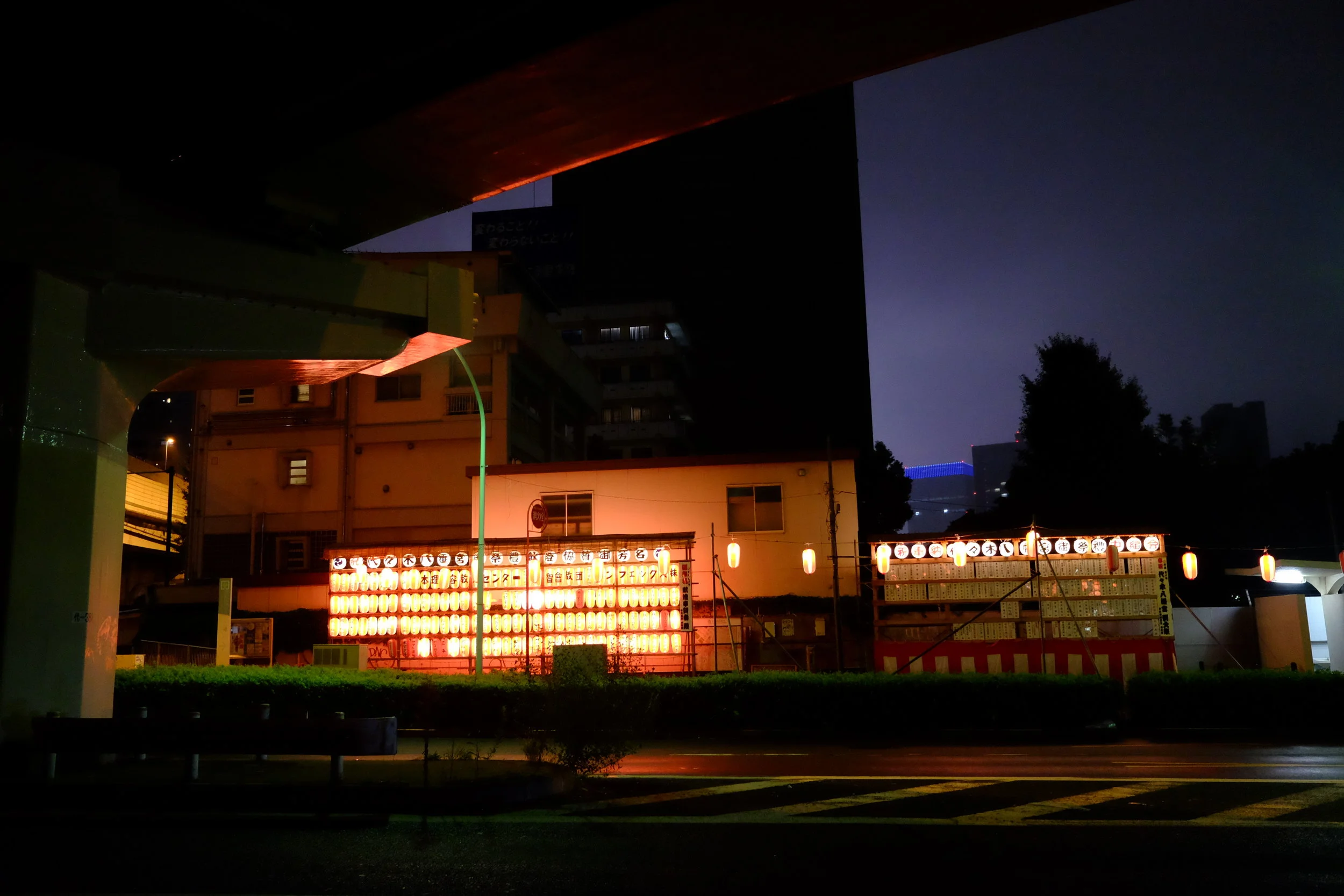 DSCF1205.JPG