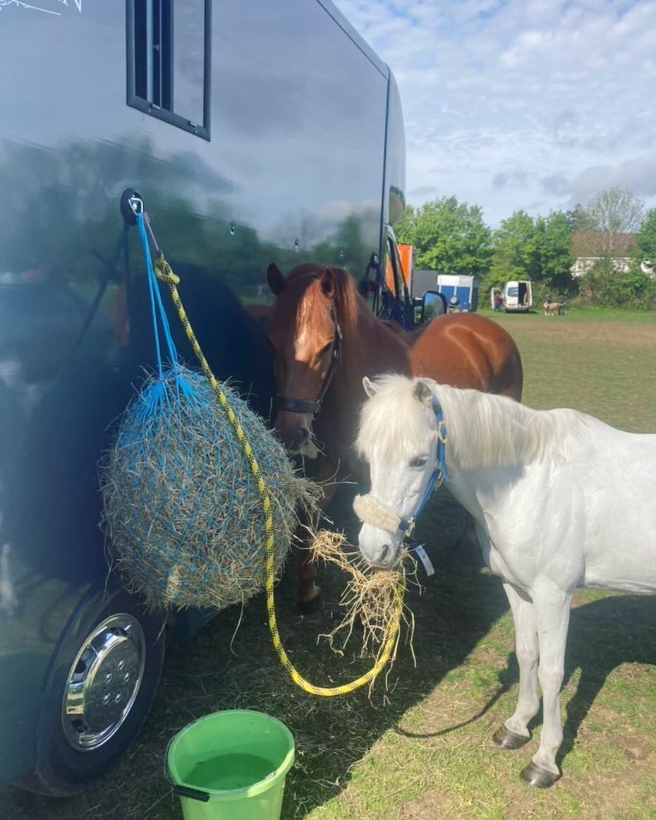 😍 How cute are these two? Both brought home rosettes from the weekend too, snapping up a 1st and a 2nd in their respective classes 
&bull;
We still have 1 Horsebox available for Self Drive Hire this Saturday (15th) - click the link in the bio to boo