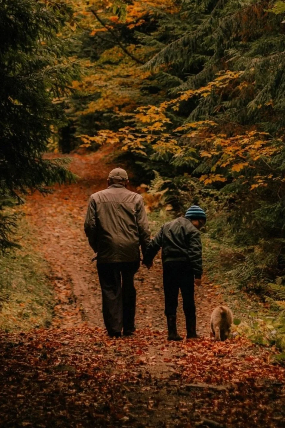 Grandparent-Owned 529 Savings Plans: The Benefits of Recent Changes