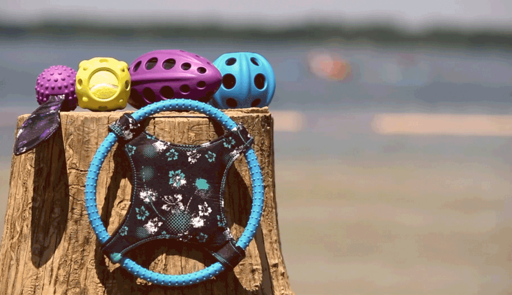 Three Dog Toy Brands You Probably Haven’t Heard Of — Faithfully Yours