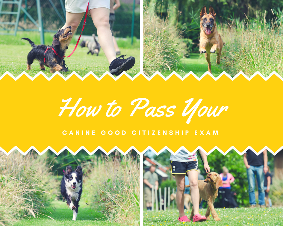 How to Pass your.png
