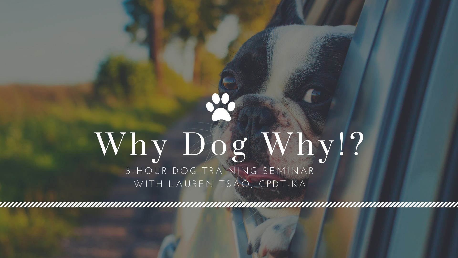 Why Dog Why!? Understanding Your Dog's Behavior Skill Sharper Seminar