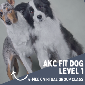 Virtual AKC Fit Dog Level 1 Group Class