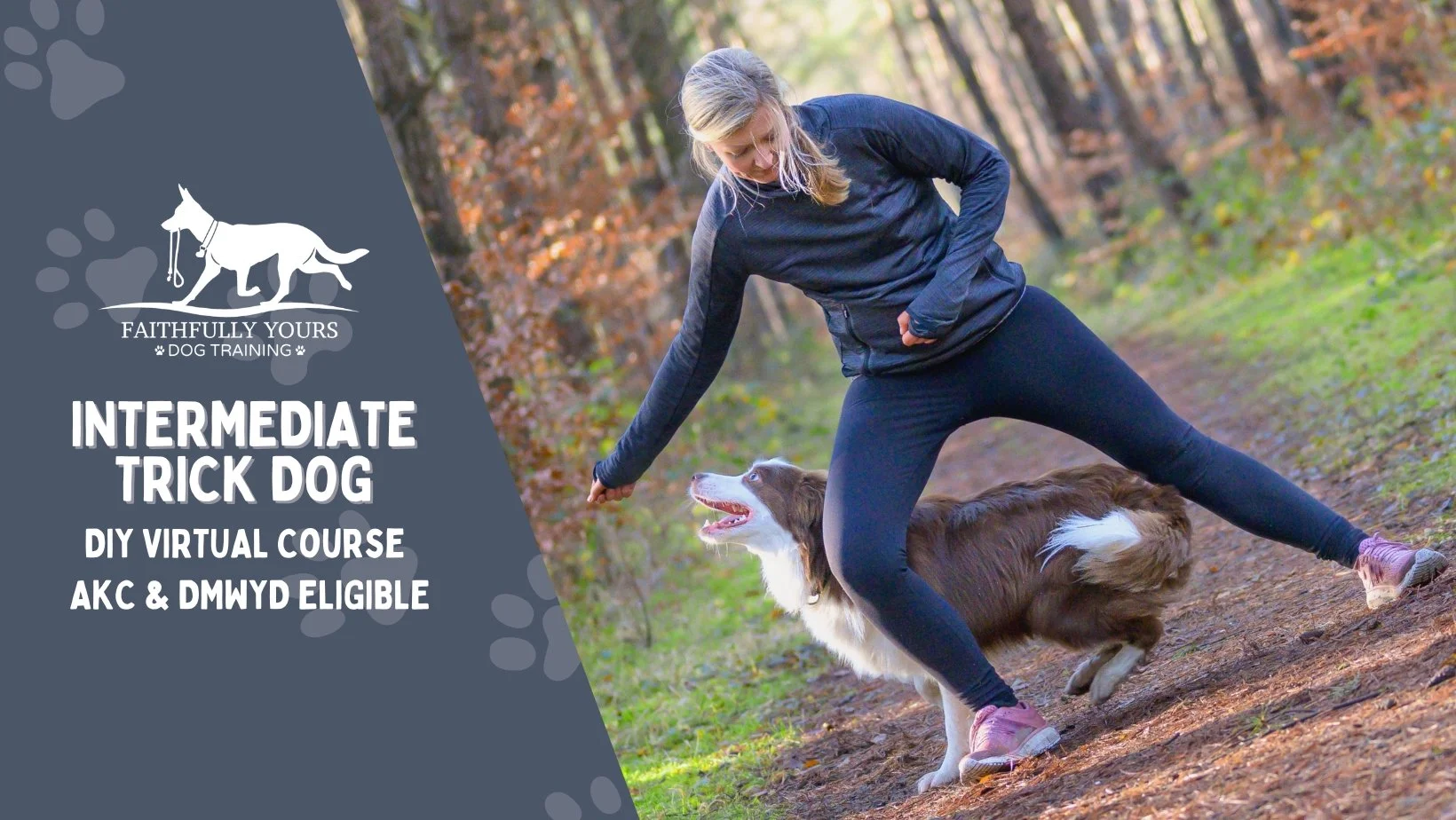 Self-Study Intermediate Trick Dog (AKC and DMWYD) Virtual Course ...