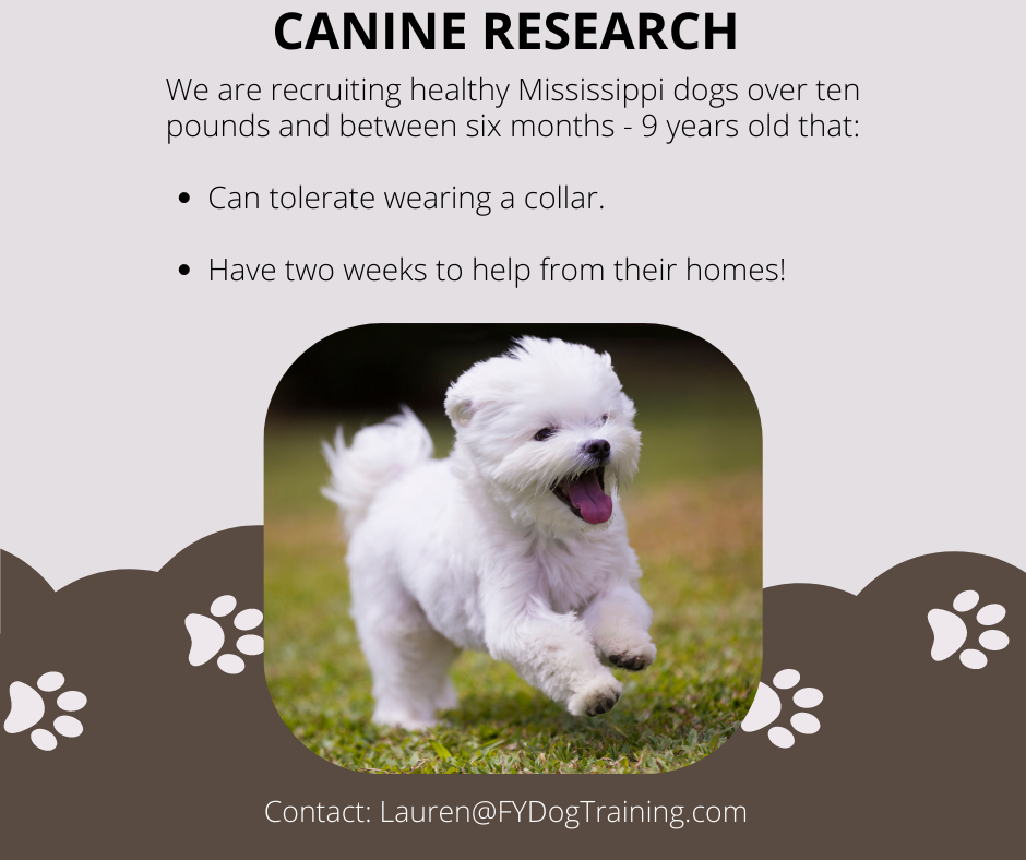 Call For More Mississippi Dogs for Research Study — Faithfully Yours Dog  Training - Jackson, MS Dog Training & Dog Behavior Consulting