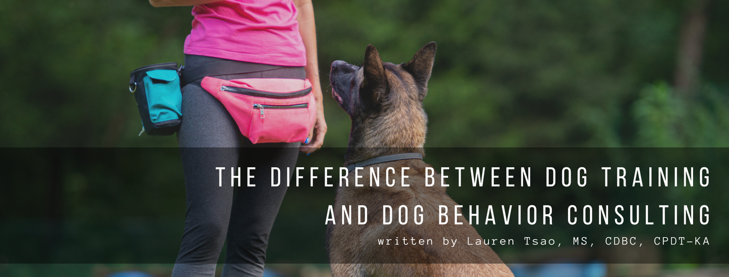 Difference Between Dog Training and Dog Behavior Consulting