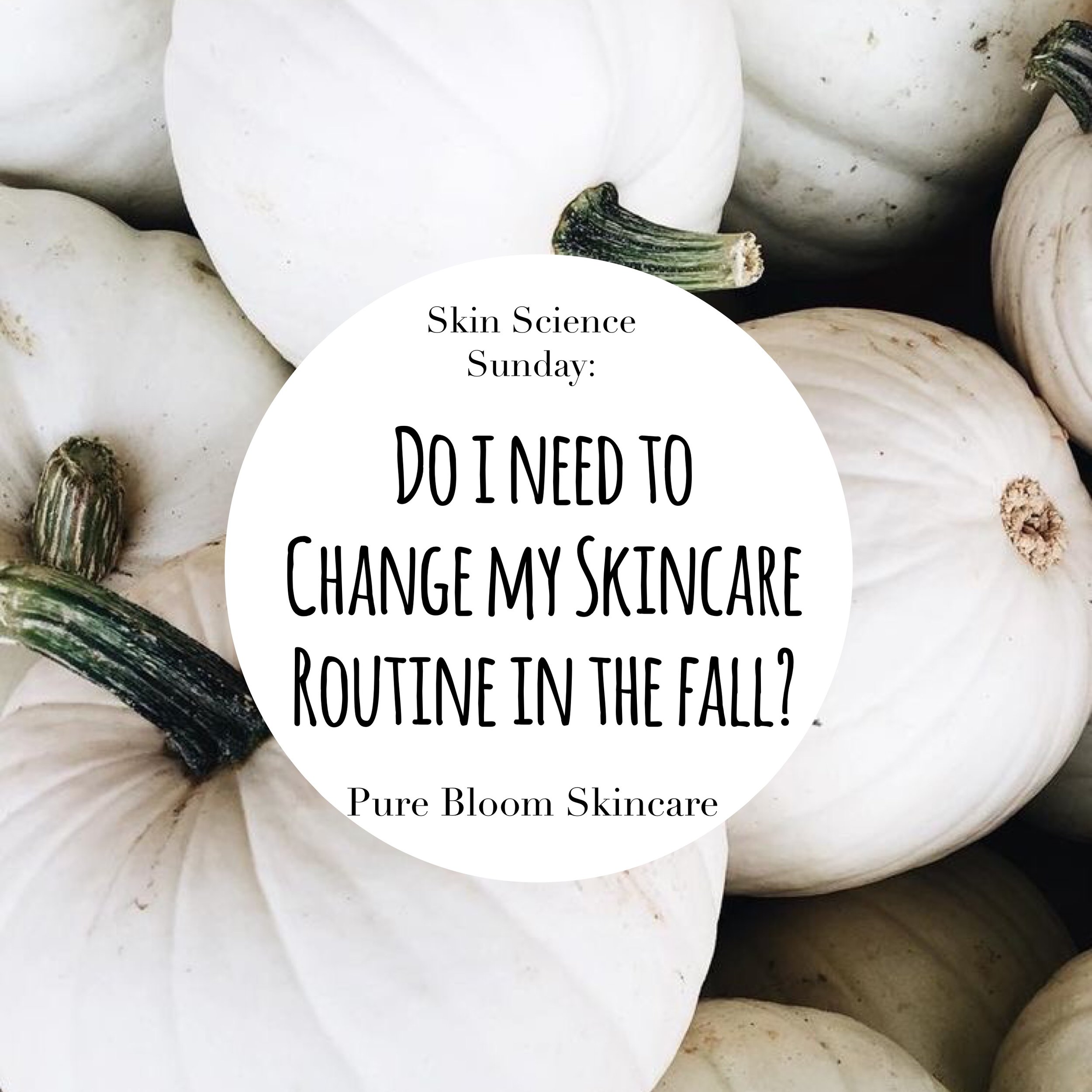 what skincare do i need