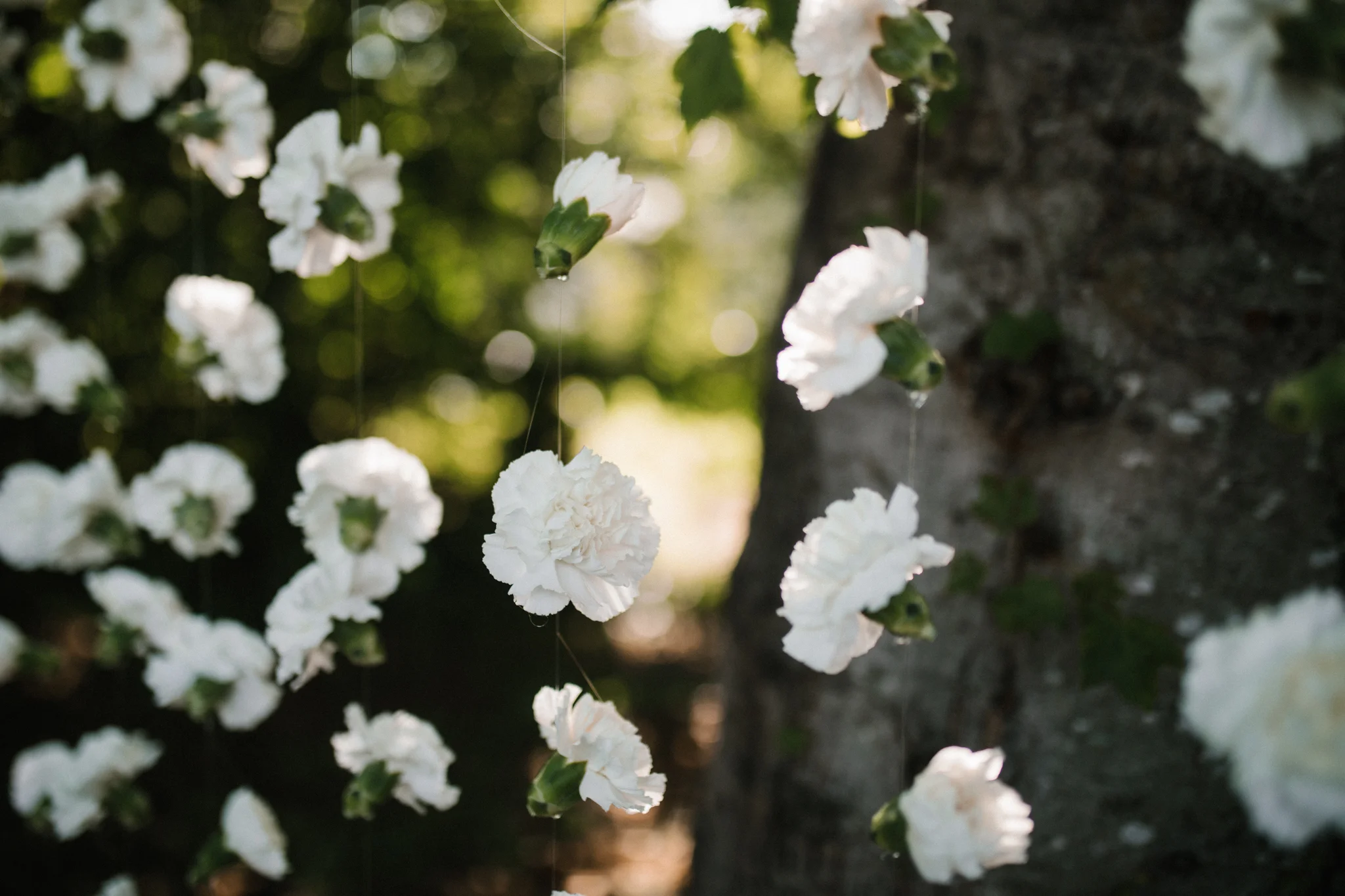 dorota_dwight_richmond_backyard_wedding-7.jpg