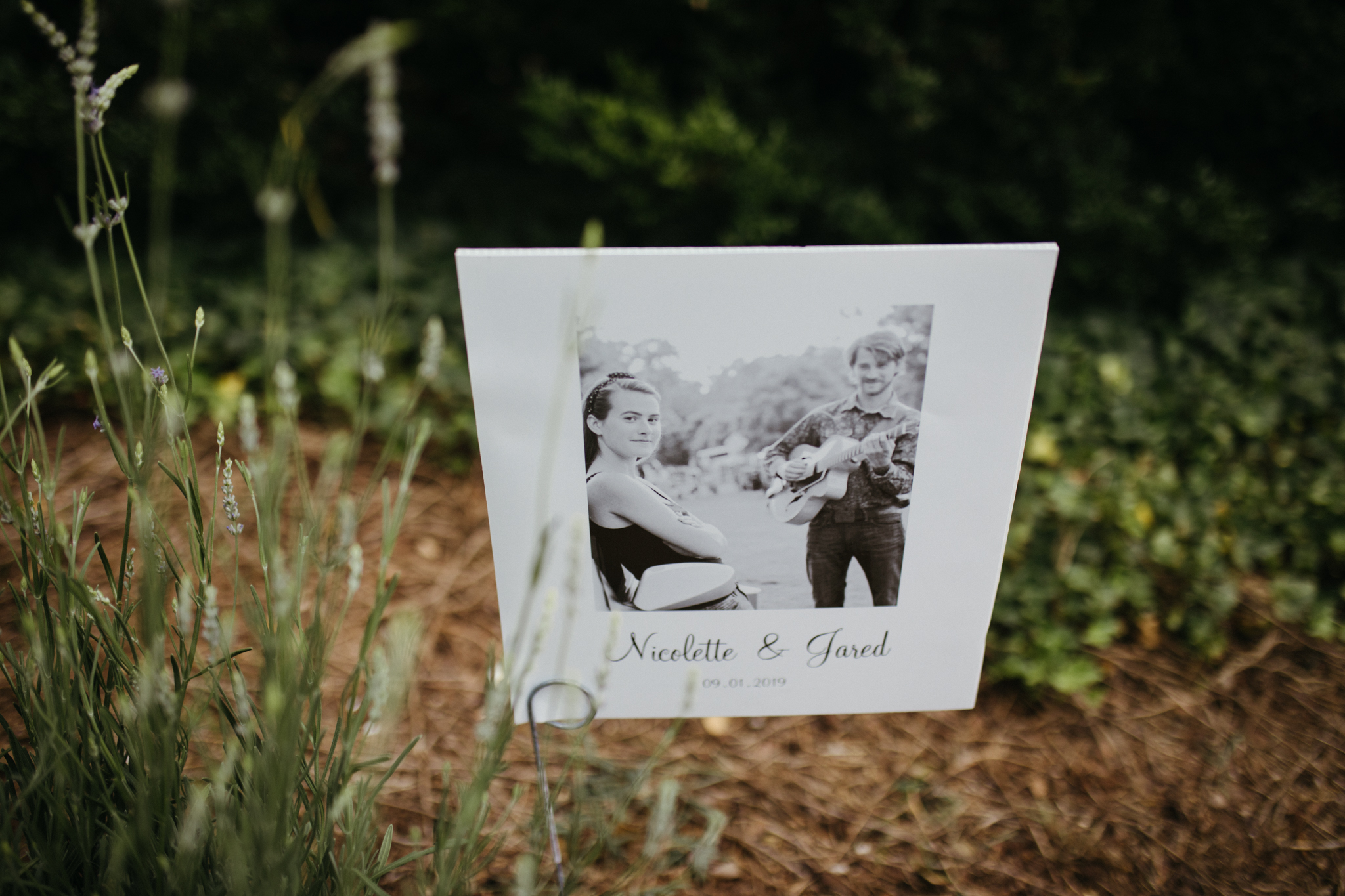 richmond_wedding_photographer_wolftrapfarm-181.jpg