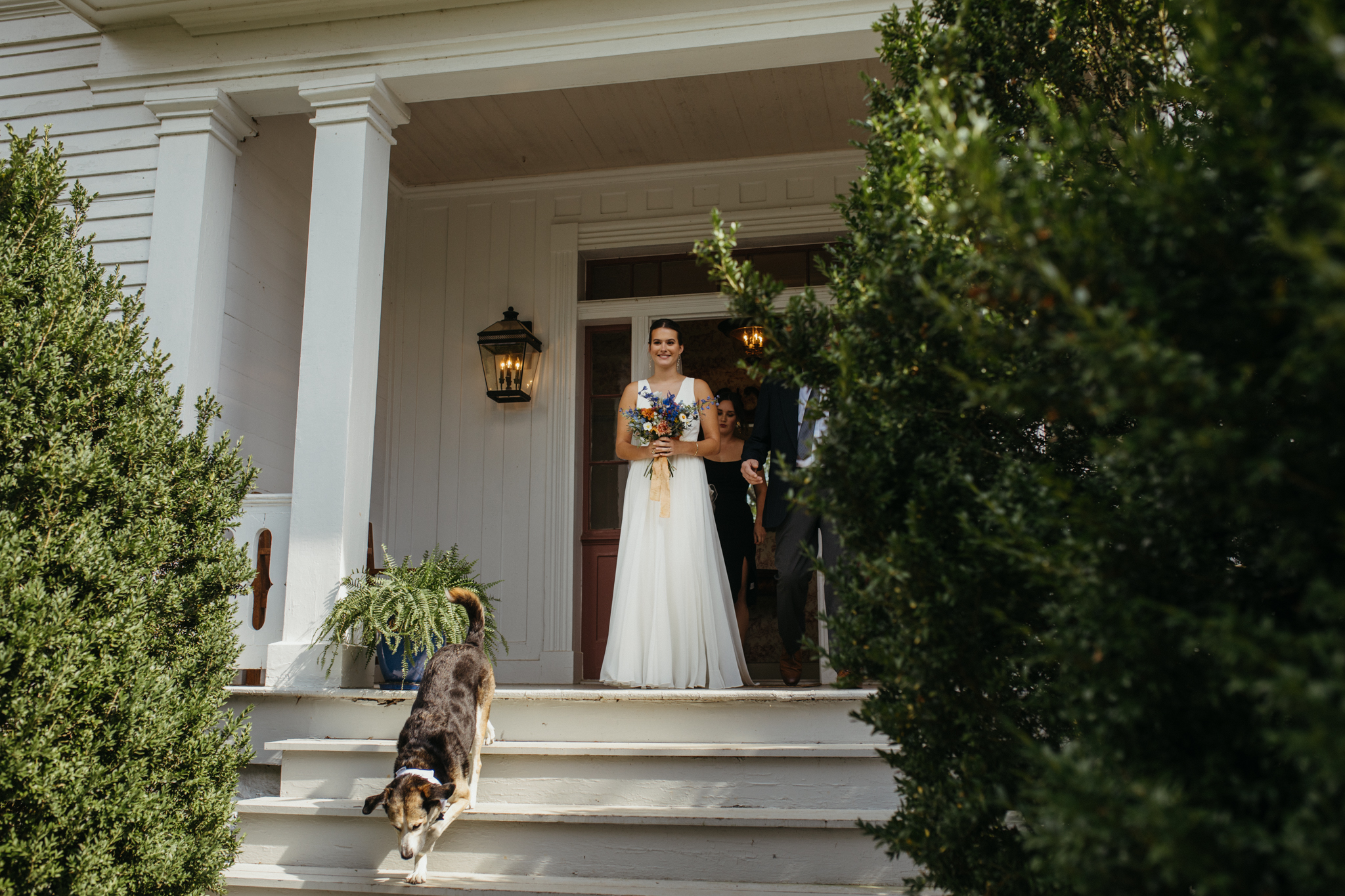 richmond_wedding_photographer_wolftrapfarm-228.jpg