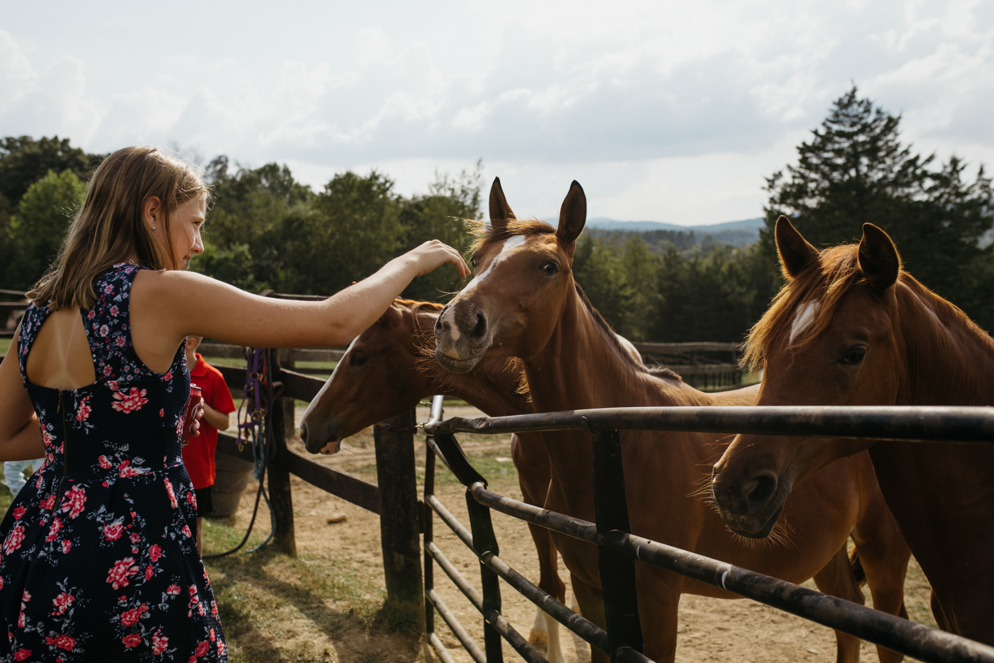 richmond_wedding_photographer_wolftrapfarm-353.jpg