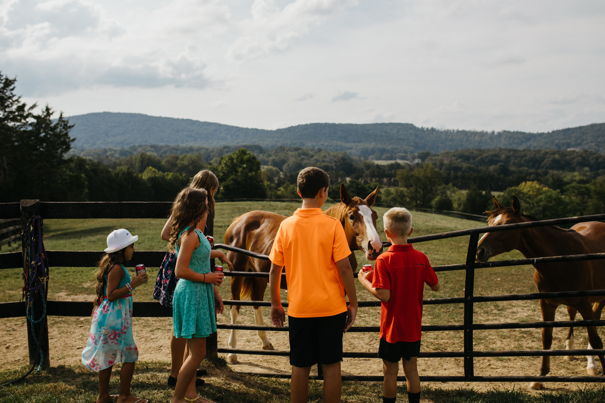 richmond_wedding_photographer_wolftrapfarm-355.jpg