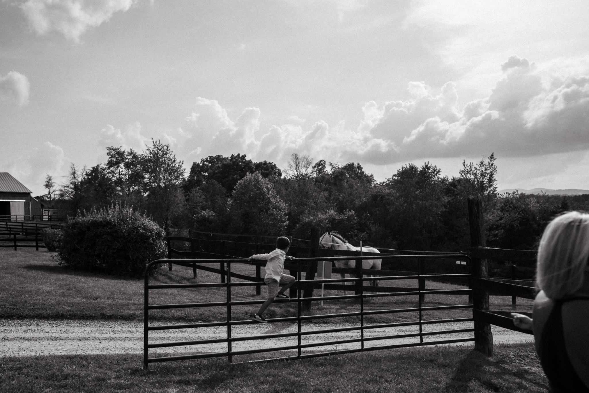 richmond_wedding_photographer_wolftrapfarm-356.jpg