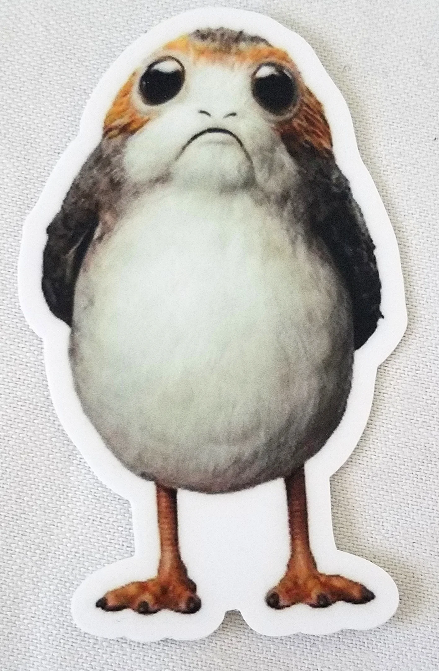 20180425_091542.jpg
