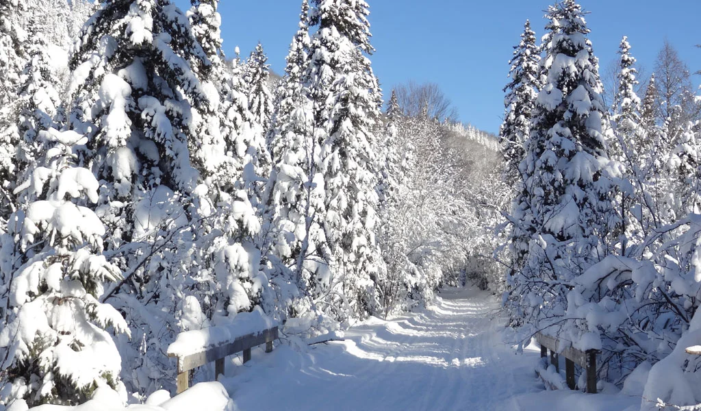 Val-Morin, retraite Espace Atman.jpg