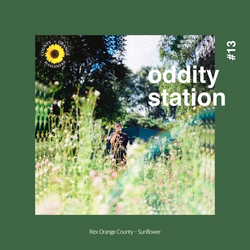 [인스타그램] oddity station2.016.jpeg