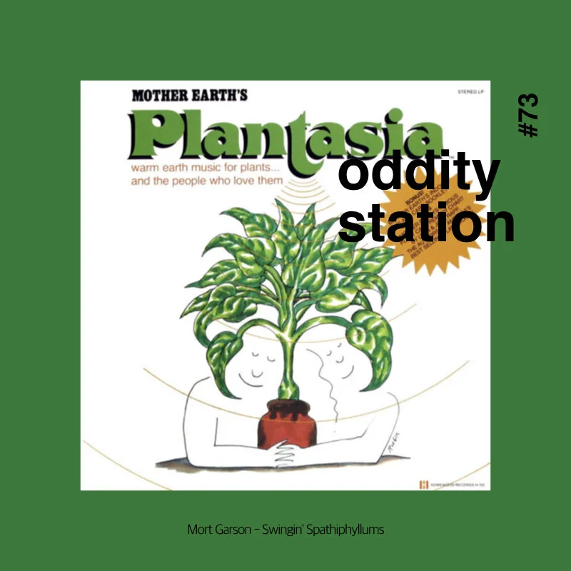 [인스타그램] oddity station 2.005.jpeg