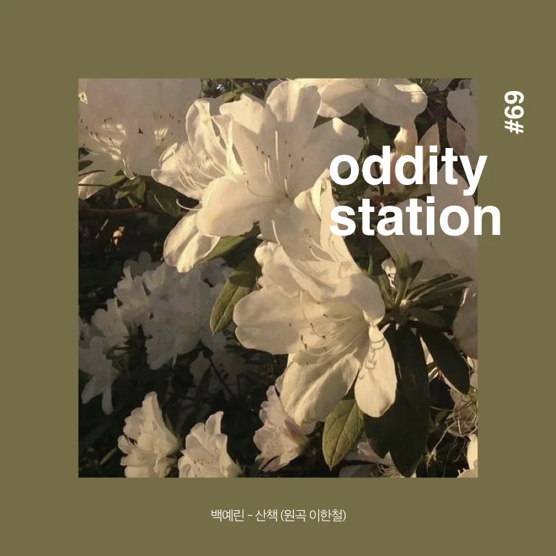 [인스타그램] oddity station 2.001.jpeg