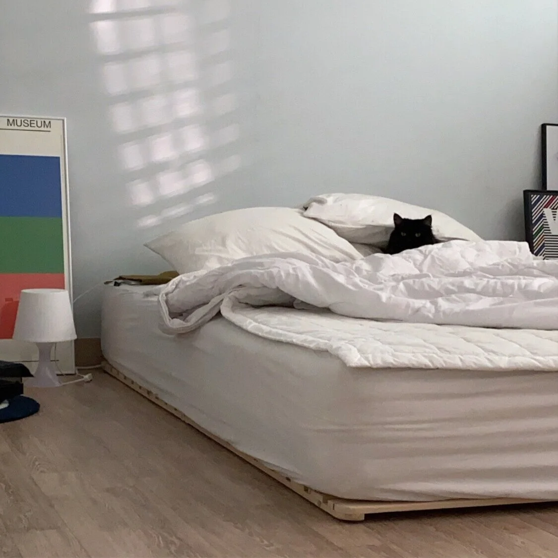 스페이스오디티의 재택근무 엿보기