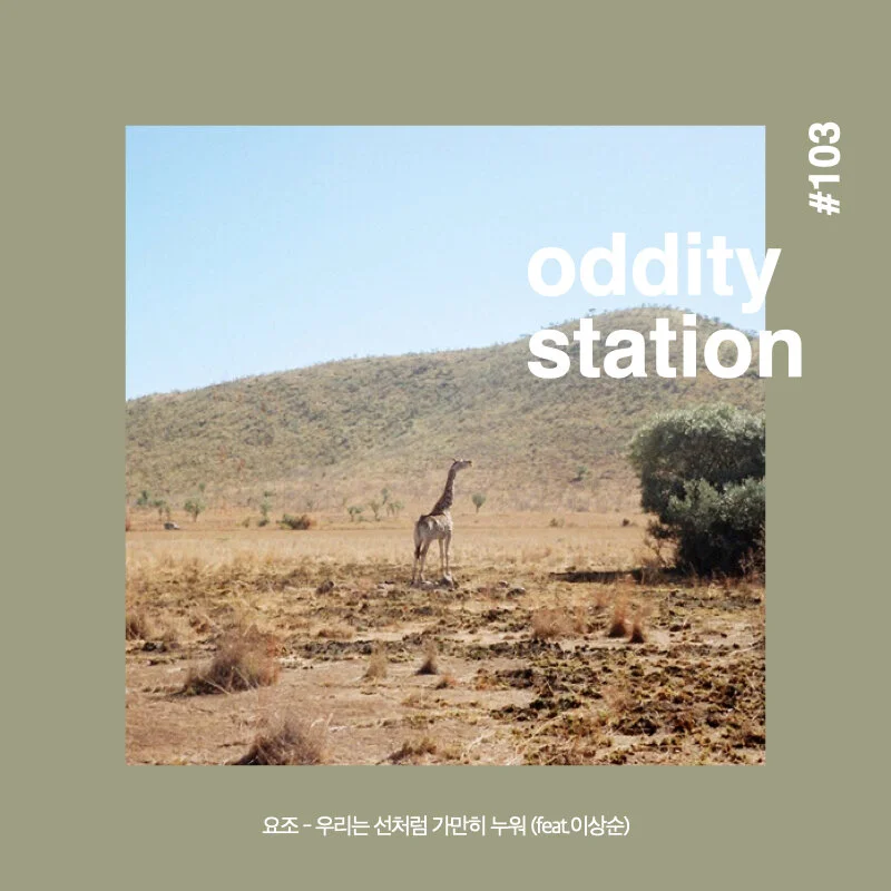 [인스타그램] oddity station 2.019.jpeg