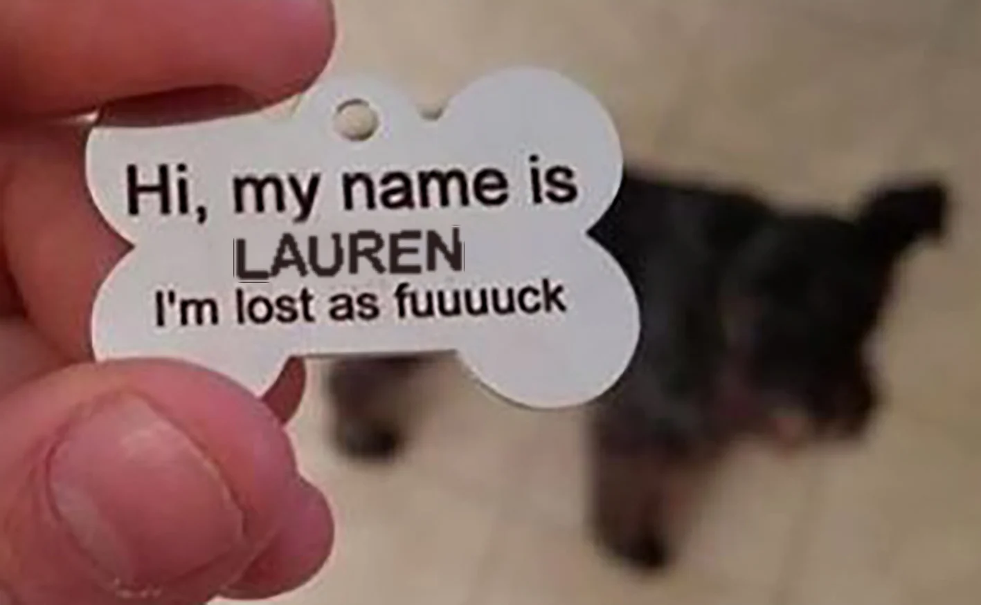 lost4.jpg