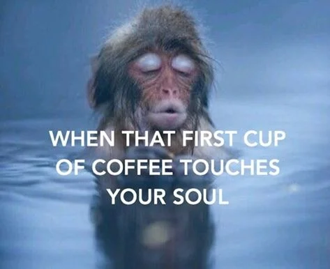 monkey_coffee.jpg
