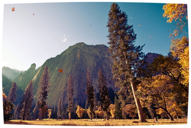 yosemite autumn