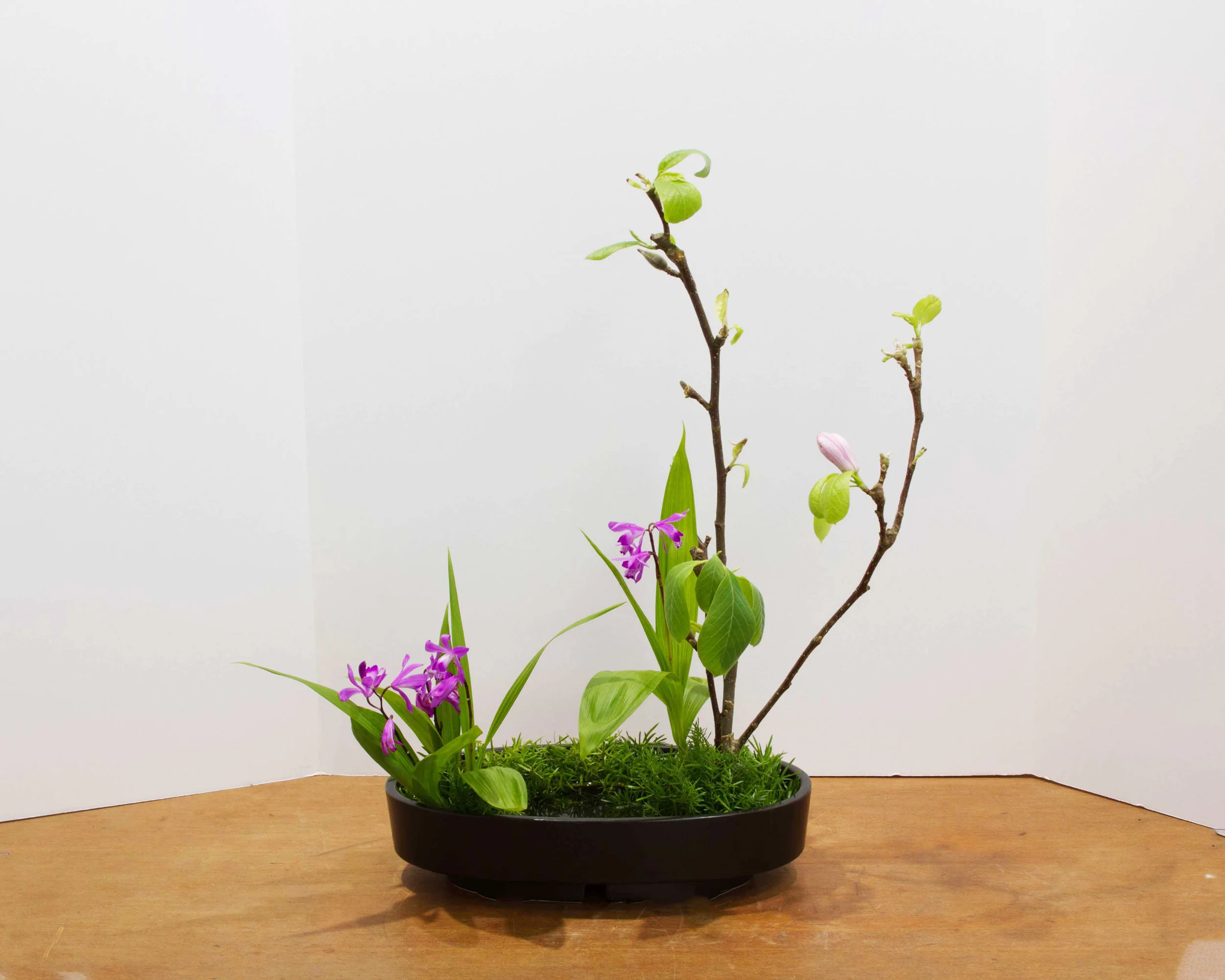 One tree landscape by Yaeko Ohta