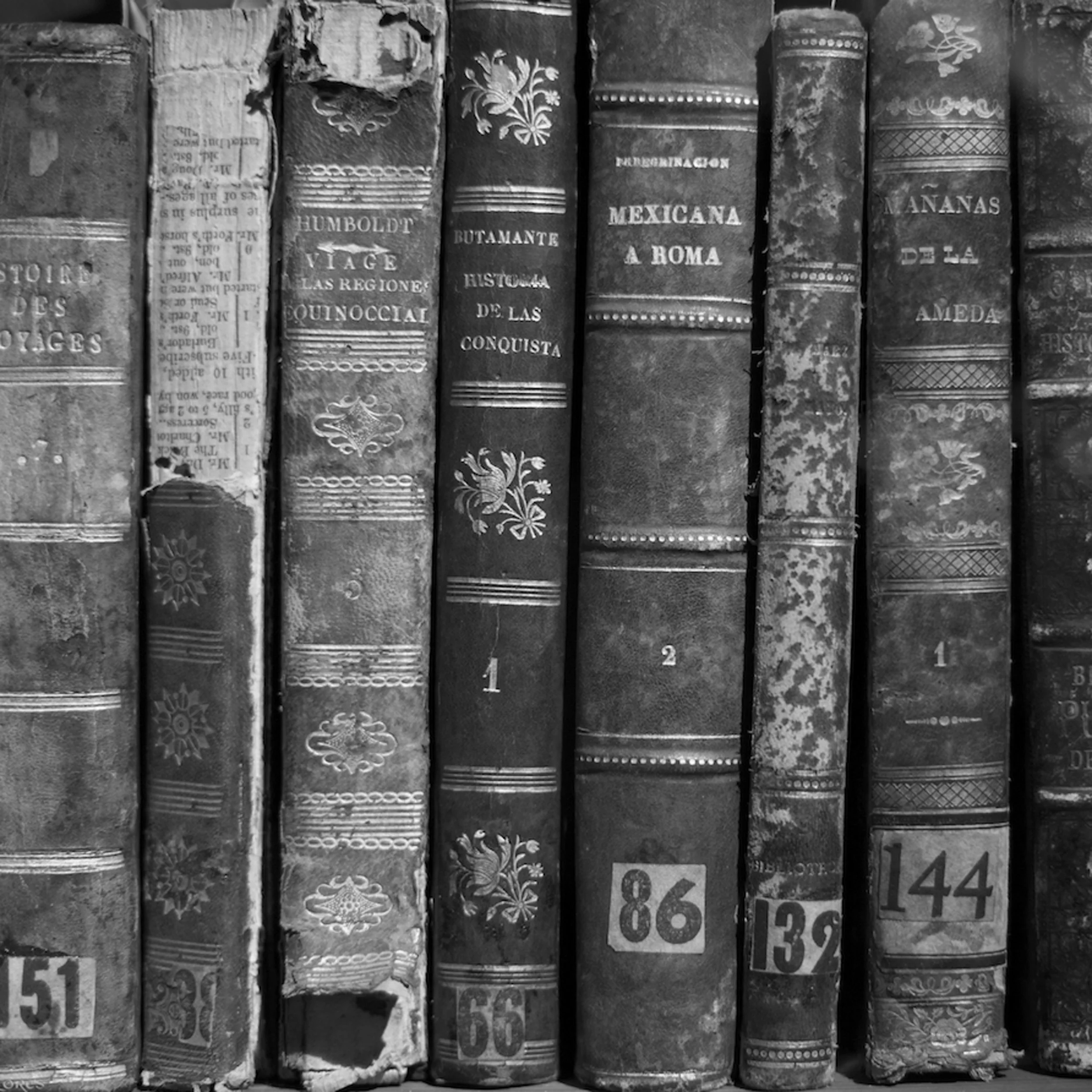 Books.jpg