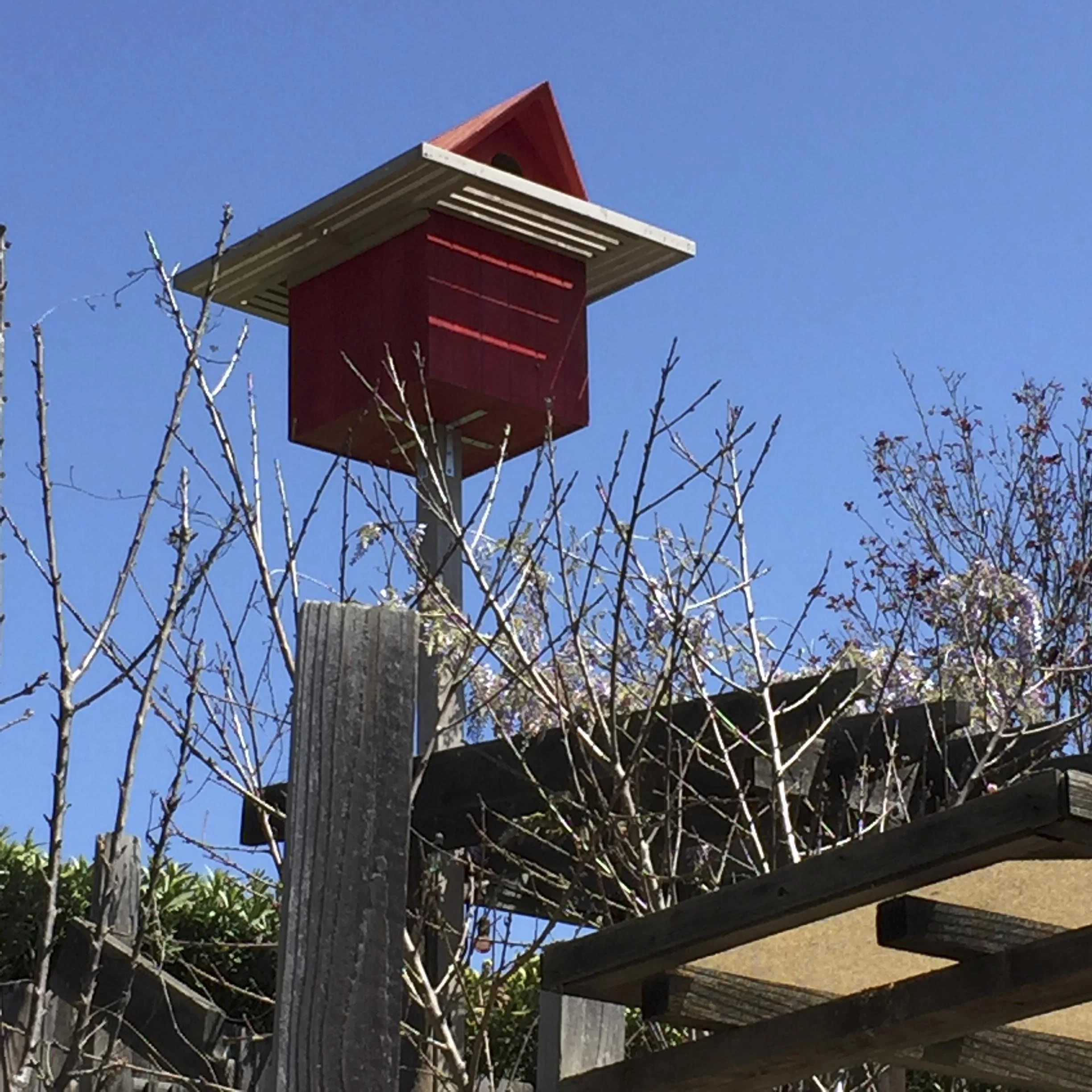 Owl Box is ready! Found a place with a great view!
