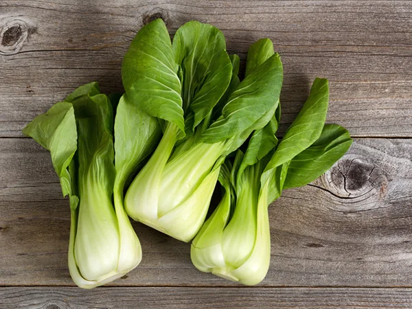 bok choy 04.jpg