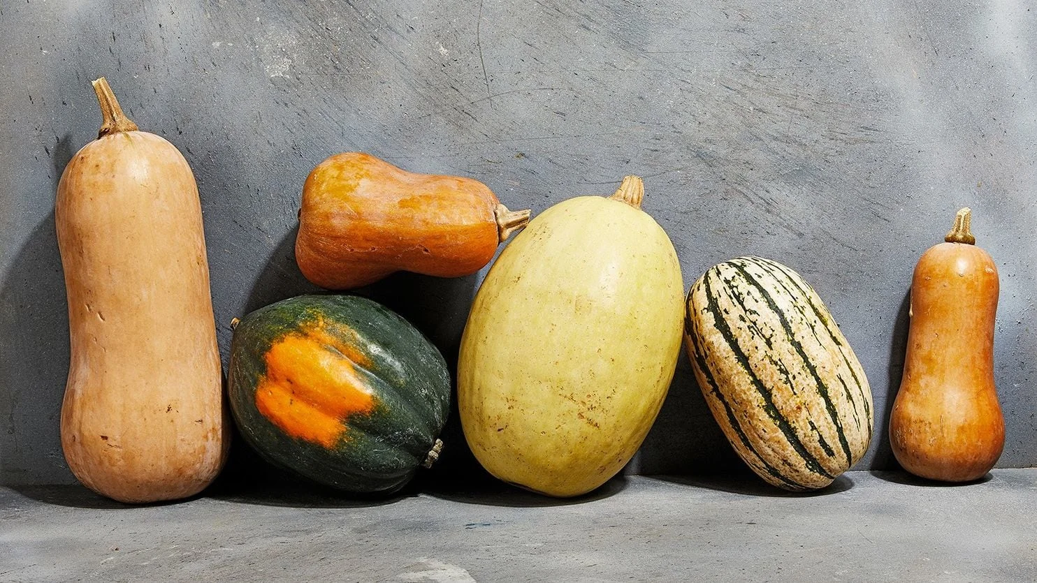 winter squash.jpg