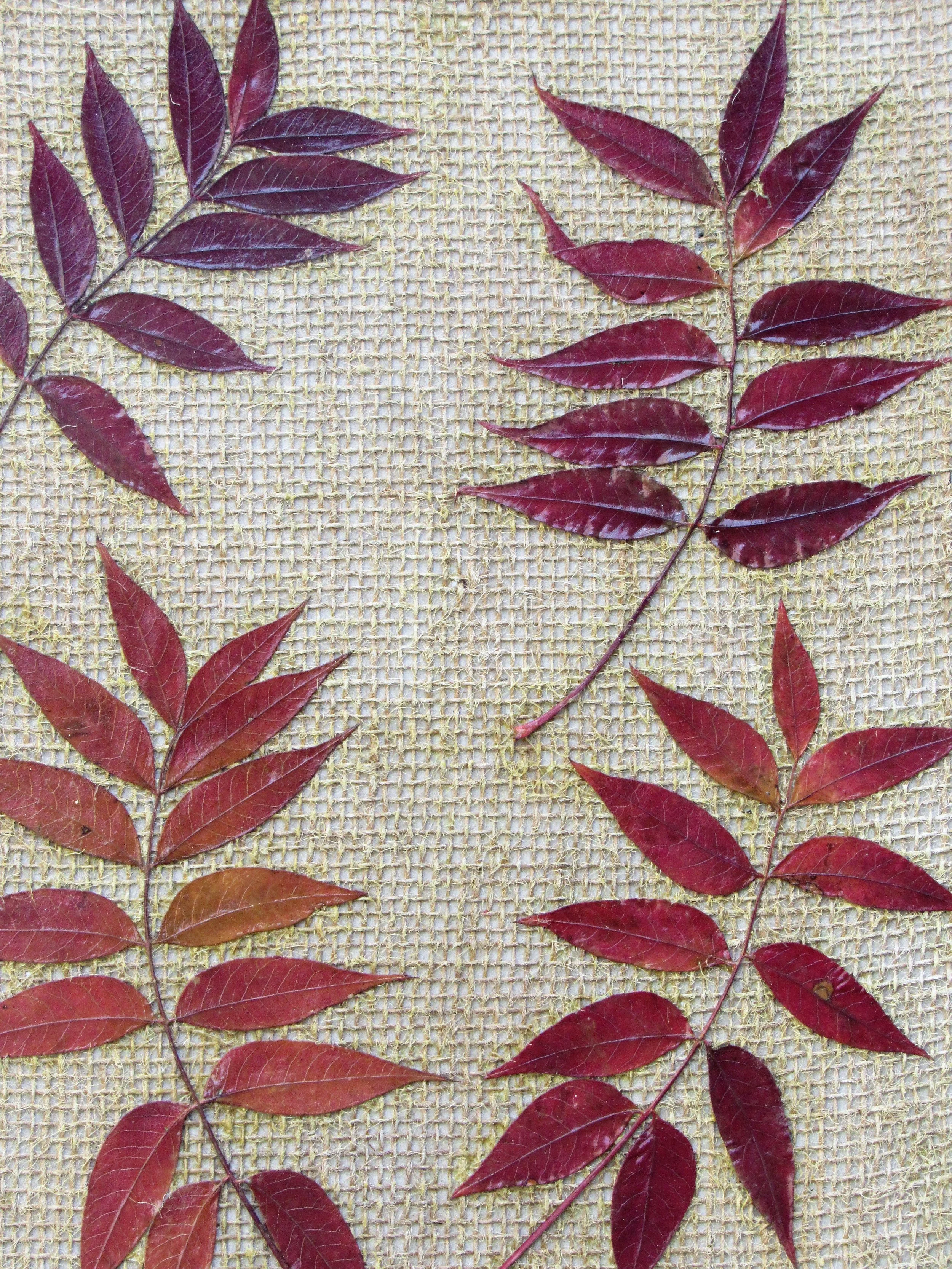 20190120004826 (2).JPG