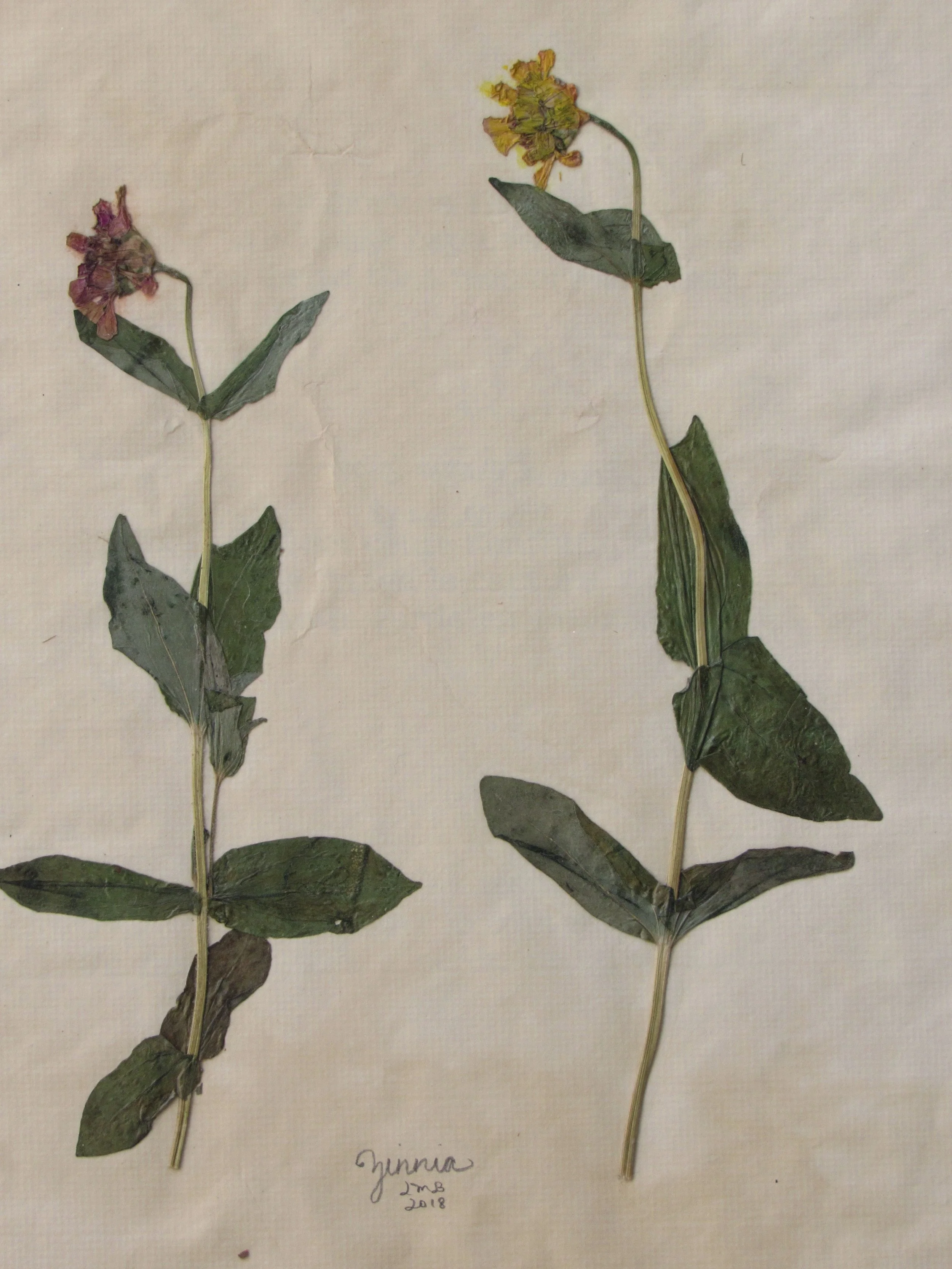 20190121030428 (2).JPG
